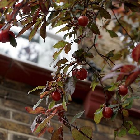 Beautiful London Home Sleeps 6, 2 Minutes To Metro Exterior foto